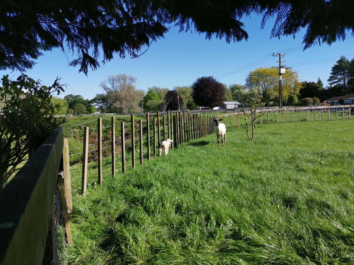 2 Bedrooms With Garage Right On Te Awa River Bike Trail Tamahere Exterior photo